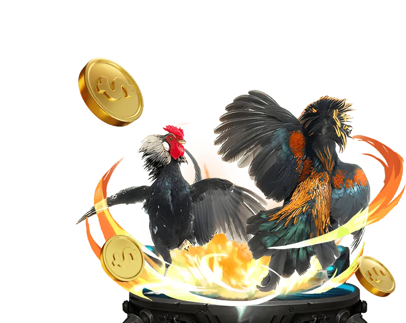 Tổng quan Chương trình VIP 68win11